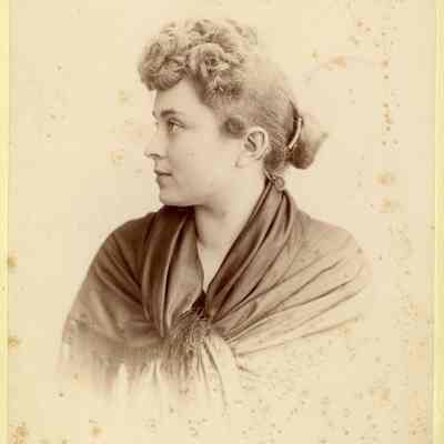 Hattie Collins - Cattermole