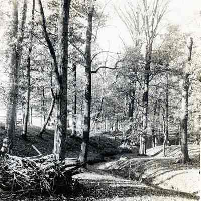 Jamiesons Glen