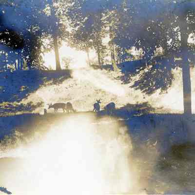U.P. Hunting Trip