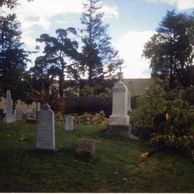 Old Wayne Cemetery damage from fallen tree