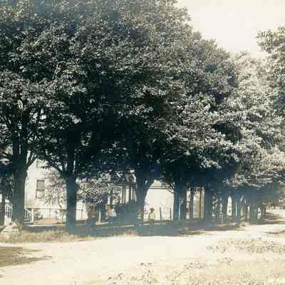 Norris and Elizabeth looking East