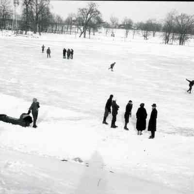 sledding