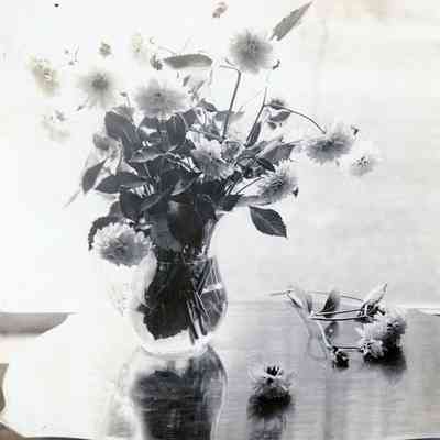 A floral arrangment.