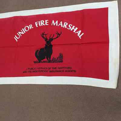 Junior Fire Marshal Flag