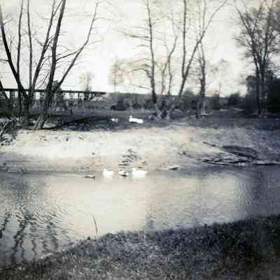 Lower Rouge River and F and P.M.Rail Road Bridge.