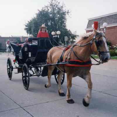 Wheelfest Parade 1992