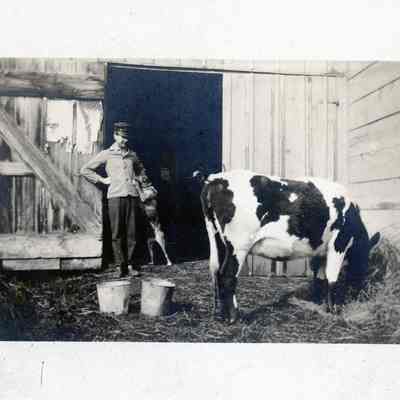 Farmer and Cow