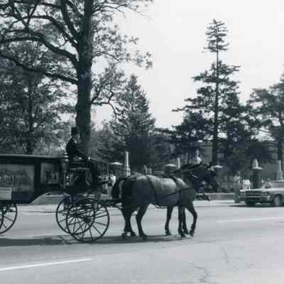 Parade