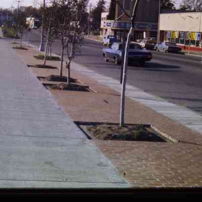 Landscaping and Sidewalks along Michigan - 1974