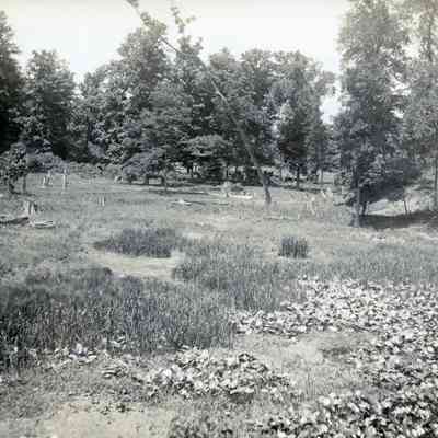 Warner (4th Grp of loose Photo's)