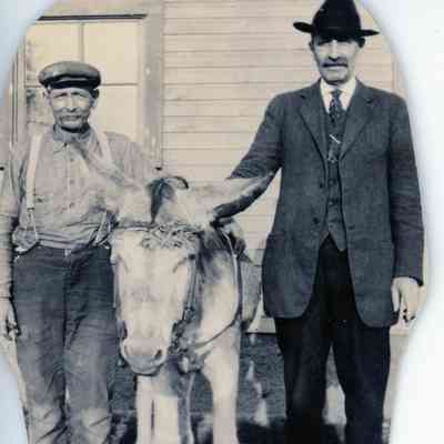 Donkey & Wagon Rides