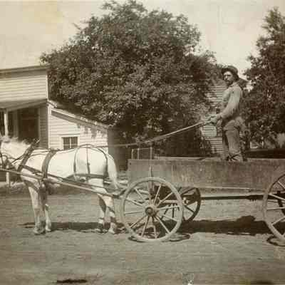 Delivery cart
