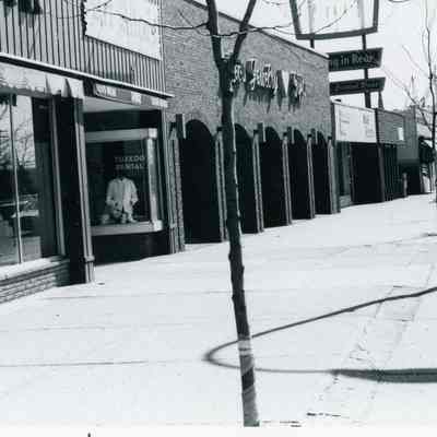 Art Allens and Leos - 1979