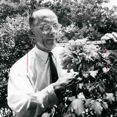 Joel Wolfe