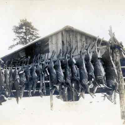 U.P. Hunting Trip