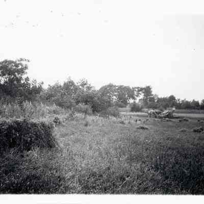 Horse drawn Plough