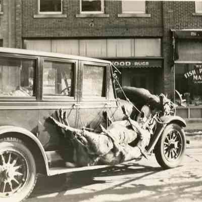 Ventry with deers from hunting on his car. Sawslayer meats at 3621 Monroe St in Wayne, MI.