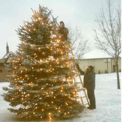 D.P.W Decorating Christmas Tree at the Museum