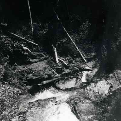 After a hailstorm in the Black Hills in South Dakota.