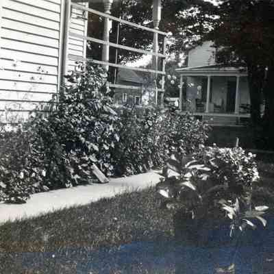 The Martin's flowers on Aug. 24, 1912.