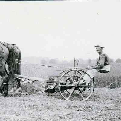 Philip Peter Stellwagen on Stellwagen farm on Michigan Ave. Notice fly net on horse.