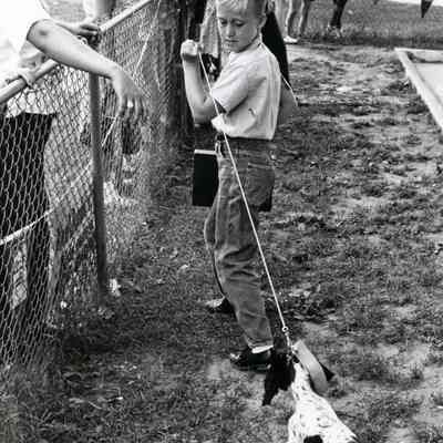 Wayne Dog Show