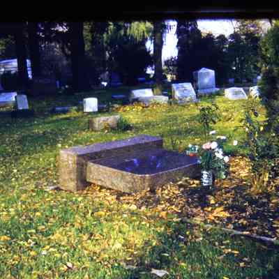 Glenwood Cemetery Damage - 1959