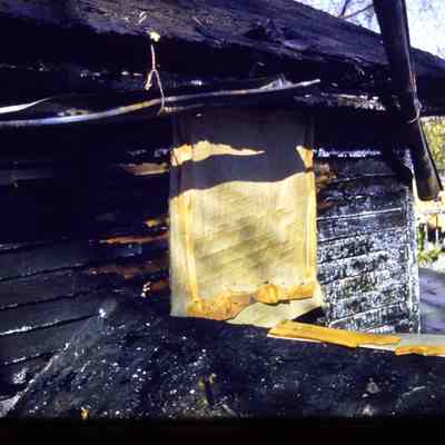 Fire Damage