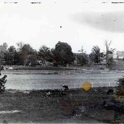 The Lower Rouge River on Venoy's Place.