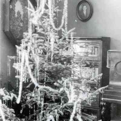 A Christmas tree.