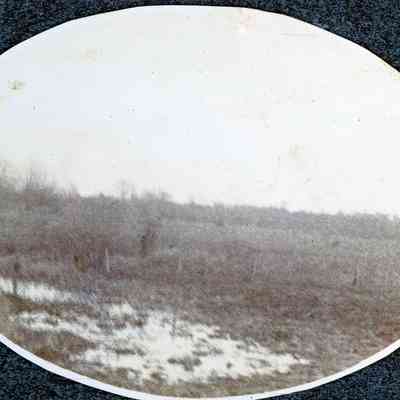 Warner (Navy Blue Album)