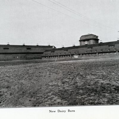 New Dairy Barn