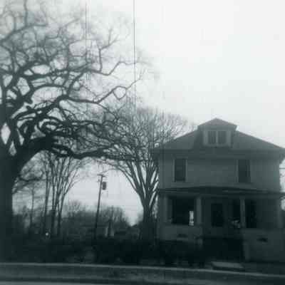 200 year old Elm tree on left, slice in Museum. 1965.