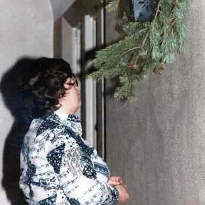 Christmas Decorations