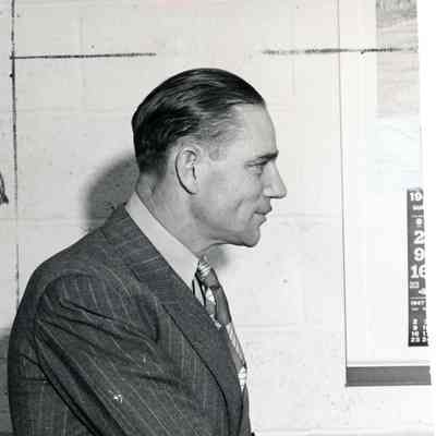 Stein