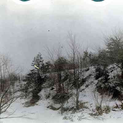 Brush in wintertime.