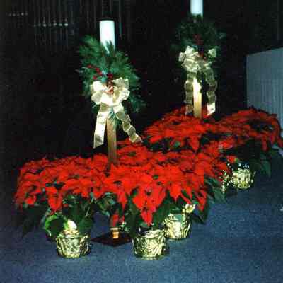 1997 Confirmation Setup