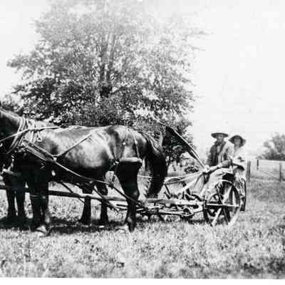 A.J. Branton and Stella on Horse Drawn plough