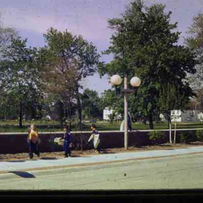Boy Scouts cleaning up along Main Street, 1974