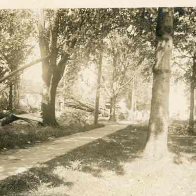 Michigan Avenue After the Storm on June 4, 1911