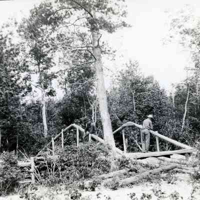A bridge being made.
