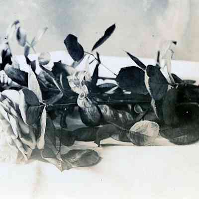 Warner ( 3rd Grp of Loose Photo's)