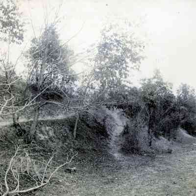 Scene on Simms' Place. North of Lower Rouge River on Oct. 21, 1900.