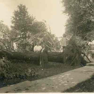 Sims Avenue After The Cyclone Storm of June 4, 1911