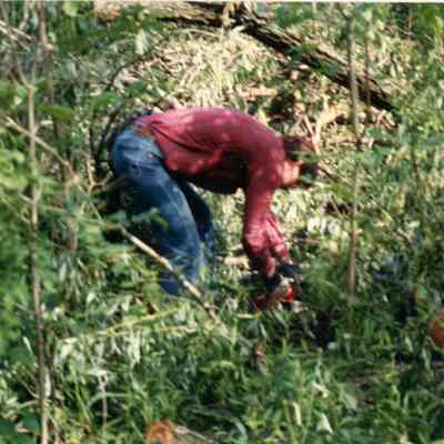 Gary Clark using a chain saw.