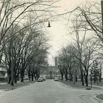 View down Park Street