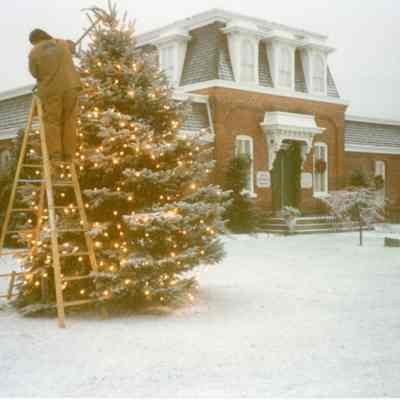D.P.W decorating Christmas Tree at the Museum in 1991.