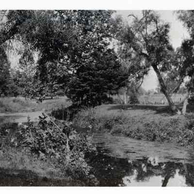 Rouge River
