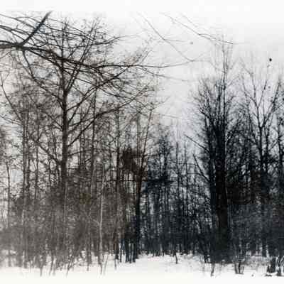 Rouge River
