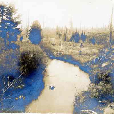 U.P. Hunting Trip